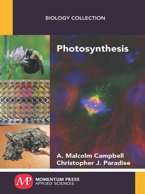 cover image of Photosynthesis